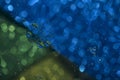 Abstract blurred background. Fluid texture with circles ÃÂ and drops of green, blue and yellow. Royalty Free Stock Photo